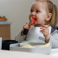 ست قاشق چنگال طرح دایناسور رنگ سفید صورتی هیاورشی HeOrShe