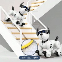 سگ کنترلی هوشمند  LE NENG TOYS - K27