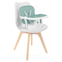 صندلی غذا پرتابل جدید رنگ سبز کیکابو Kikkaboo